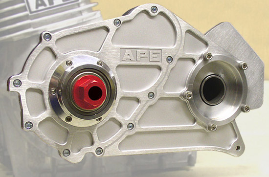 APE combined bearing support and alternator replacement cover